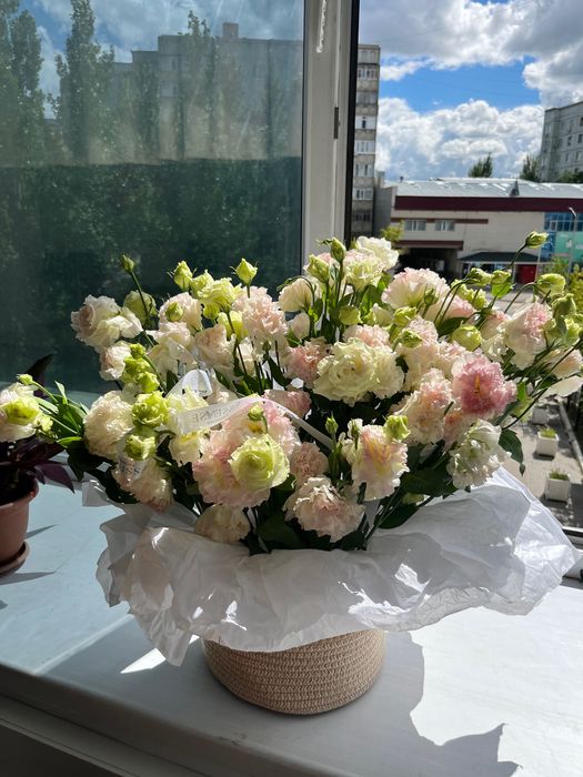 Цветы за 17к срочно