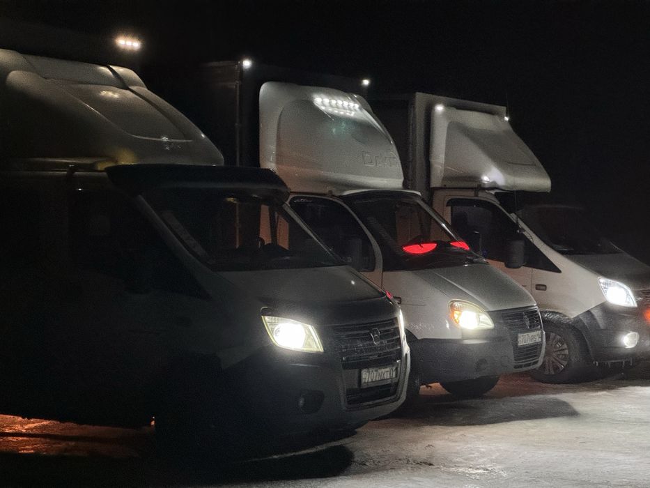 Экибастуз Газель