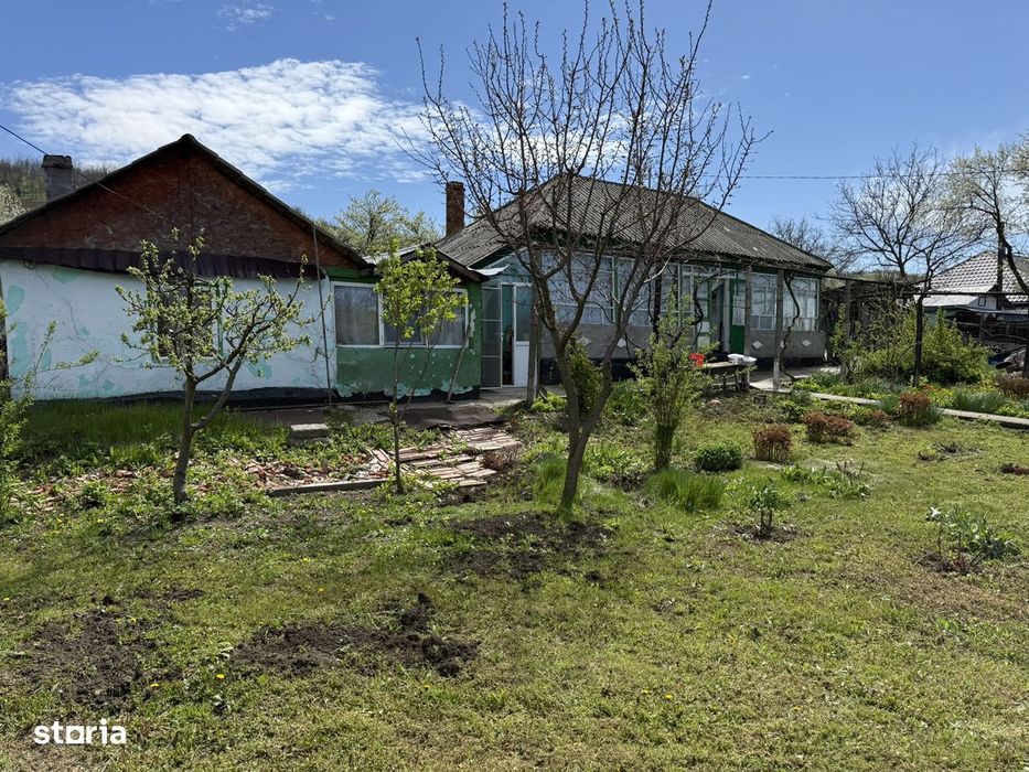 Teren 3550mp, 10km de Iasi, casa