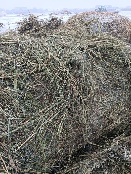 Baloți de lucernă uscată,înfoliată,de fân și baloți de paie de vânzare
