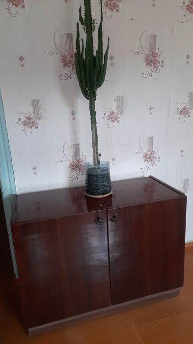 Срочно нужно продать  цветы