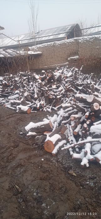 Oʻrik oʻtin sotiladi kelishilgan holda