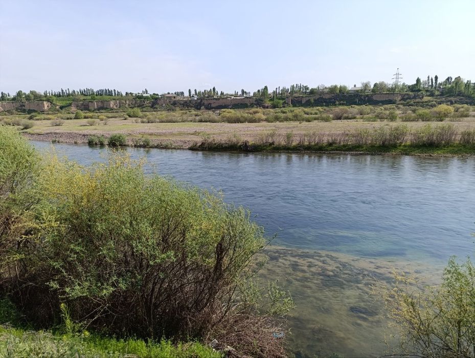 На берегу реки на Ташморе 4 гектара
