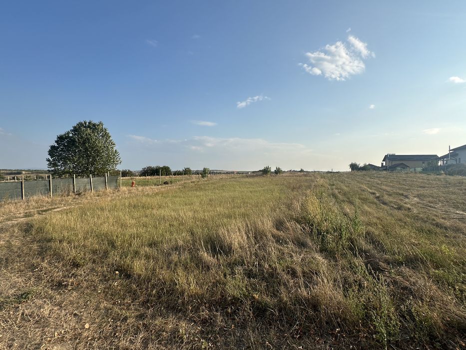 Vand 3000 mp teren in intravilan Curtesti strada Aleea Scurta