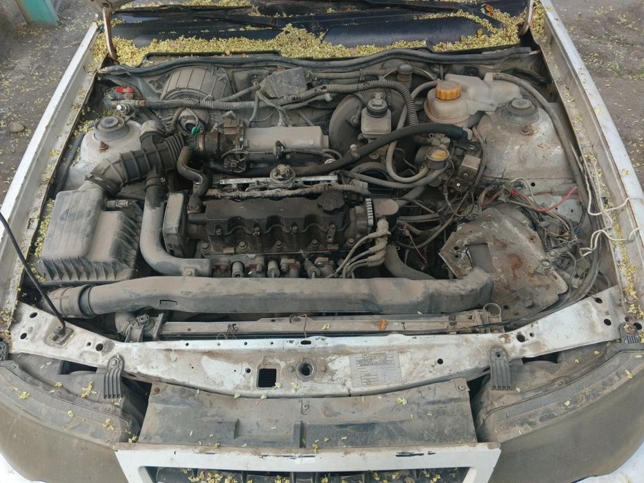 Eng oddiy Chevrolet Nexia sotiladi