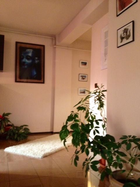 Apartament T. Mihali