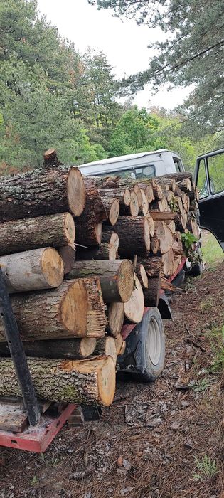 Дърва за огрев доставка до адрес