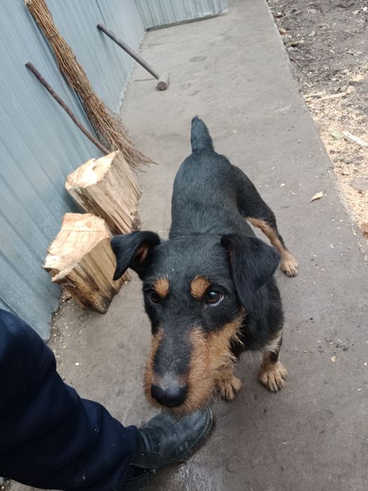 Ищем даму сердца