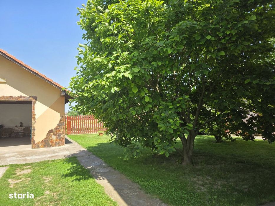 De vânzare casă deosebită situată în  Santăul Mic