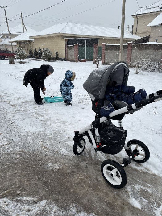 Коляска Адамекс 3/1
