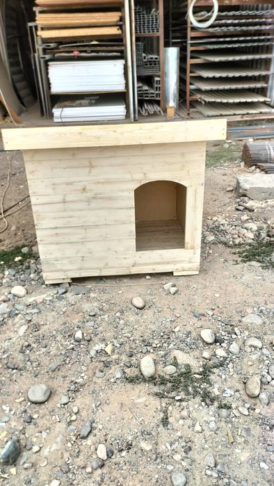 Бутка для сабака , и домик сабачнй