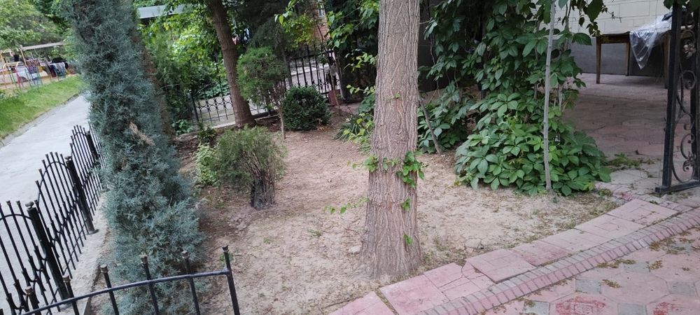 Садовник благоустройство ландшафт богбон газон посадка арча ёлка стрич