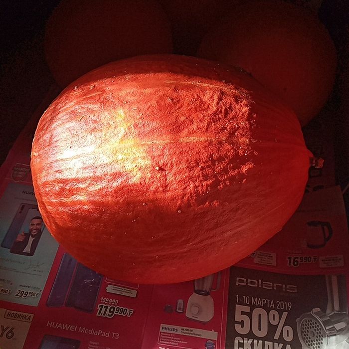 Продам тыкву -тыкву.