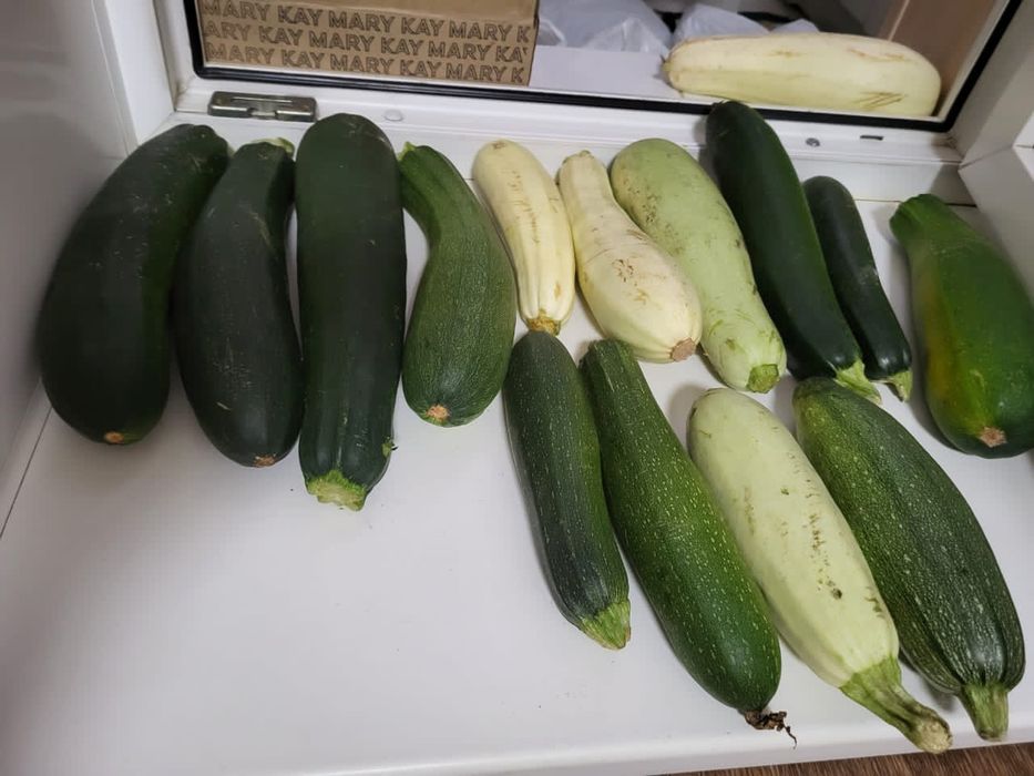 Продам кабачки домашние