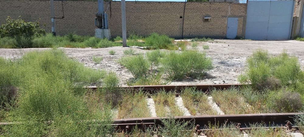 Аренда бино ва иншоотлар. Аренда склада газ свет имеется