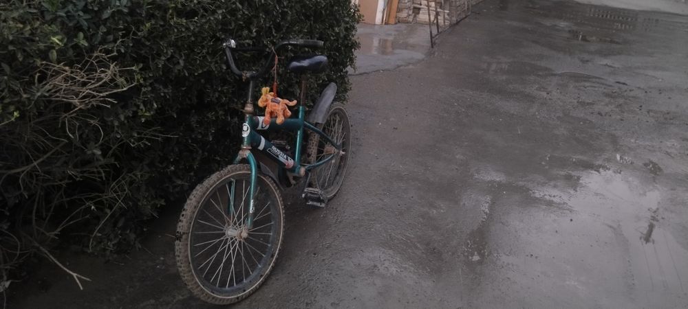 Велик зелёный БМВ