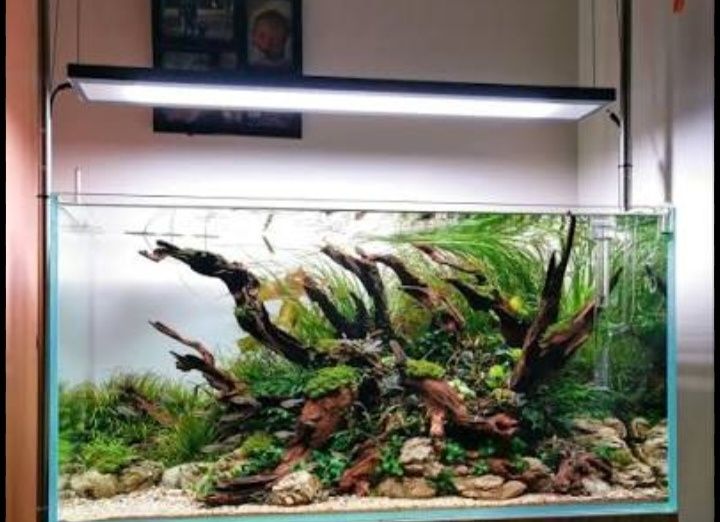 Акварим ясаш ремонт хизмати.