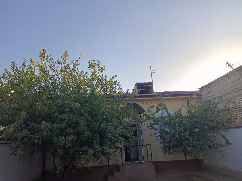 2 sotixlik katej sotiladi.