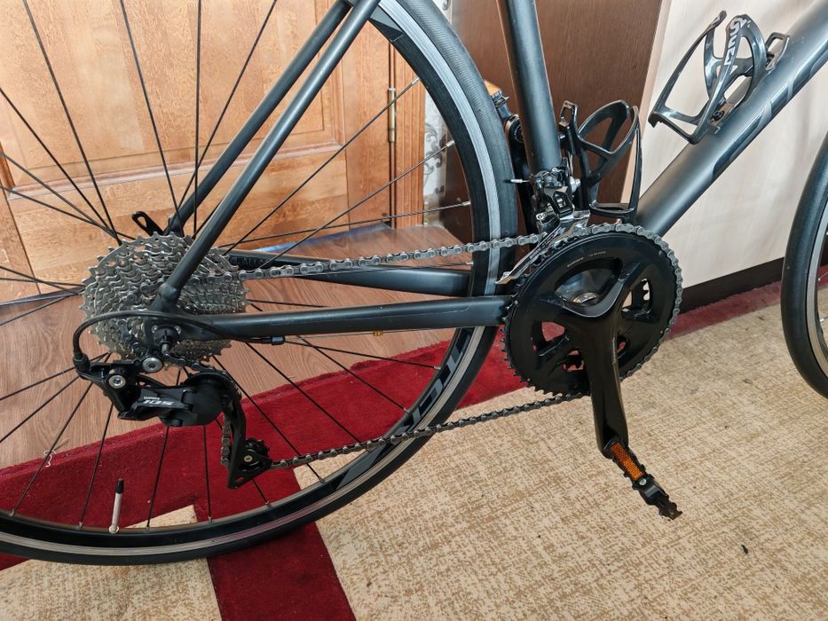 Giant contend 0 2024