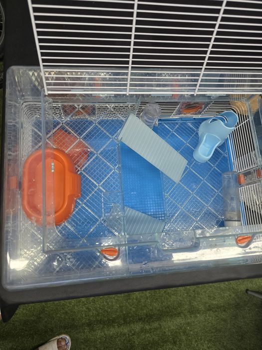 Cusca etajată  rozatoare  hamsteri