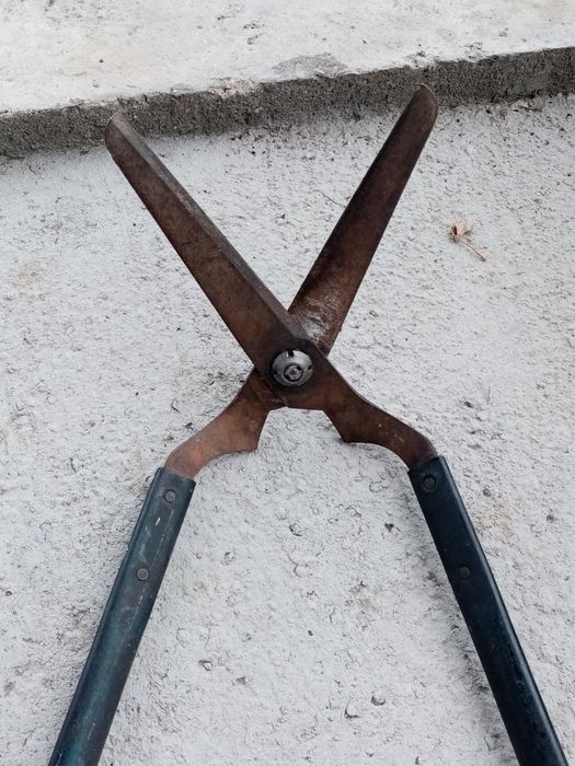 Градинска ножица за храсти и дървета.