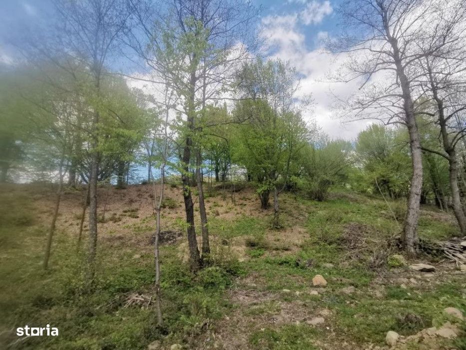 Vanzare - Casa P+M si teren 30 ari (7089)