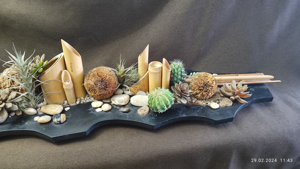 Зеленый сад фитостена