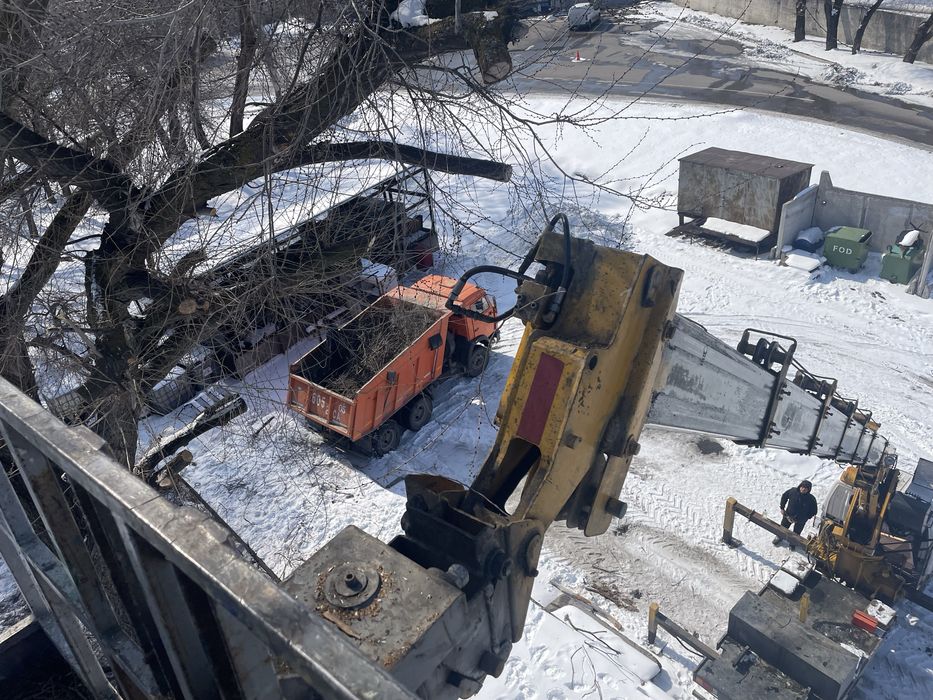 Спил дерева,сруб деревьев.