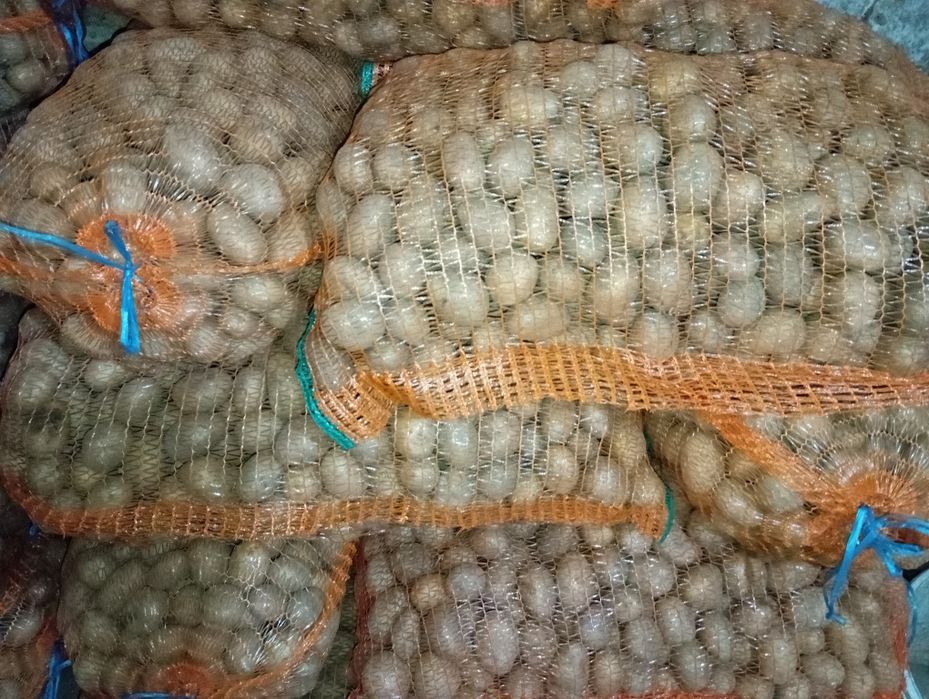 Cartofi de sămânță și animale