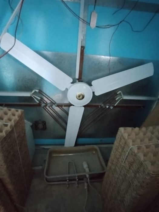 Продаётся инкубатор на 5000 яиц