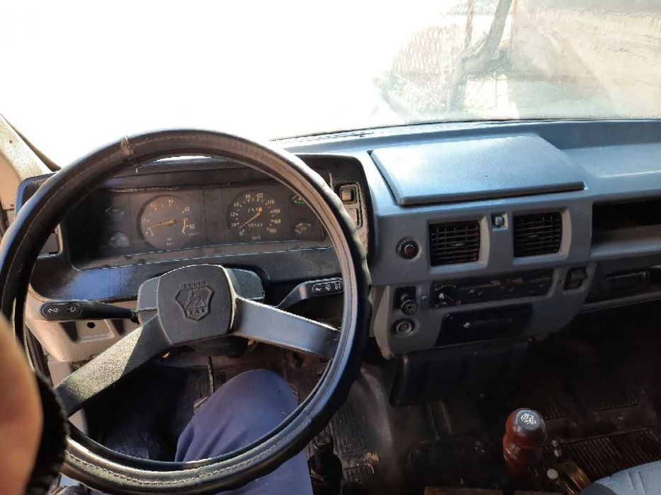 Газель яхши ҳолатда