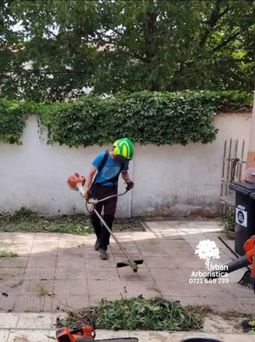 Cosit Curți Terenuri Pajiști Livezi Cluj-Napoca