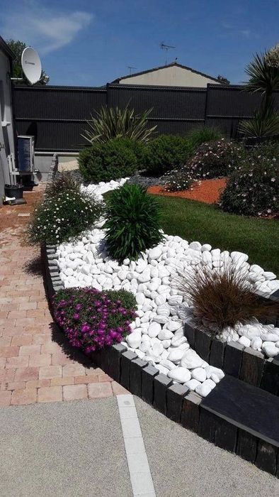 Ideal turdagi manzarali darahtlar