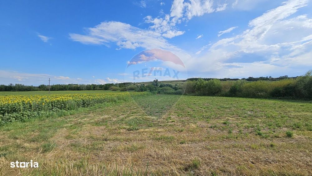 Teren extravilan 12000 mp- Pădureni-Șendriceni, Botoșani