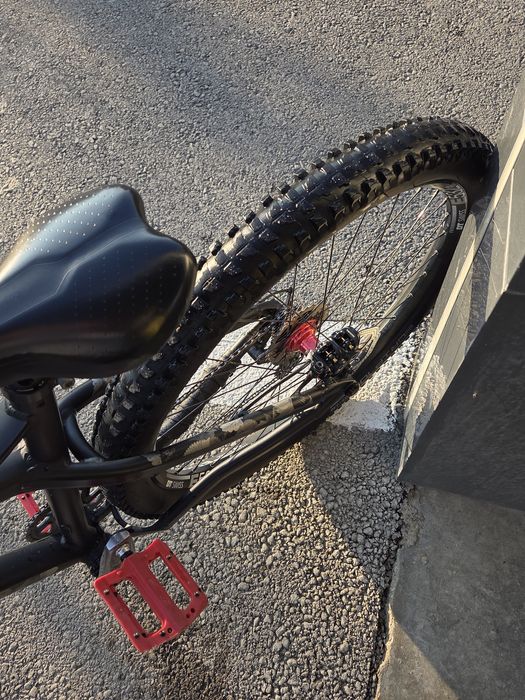 Dartmoor primal 2021