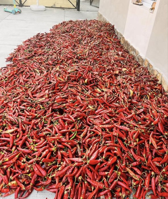 Boia ardei dulce, BIO 100%! Producție 2025