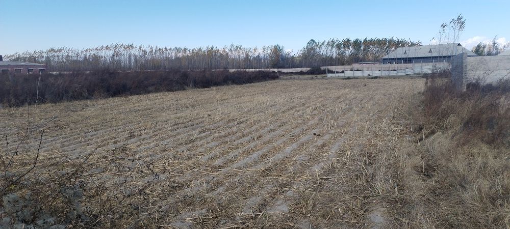 Тошлок туманида жойлашган 4 гектарли молхона бино иншоати