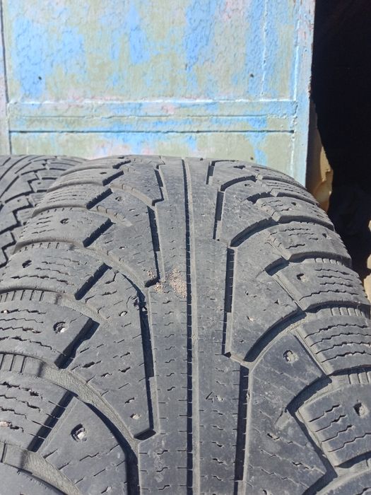 Шина от прадо зима
