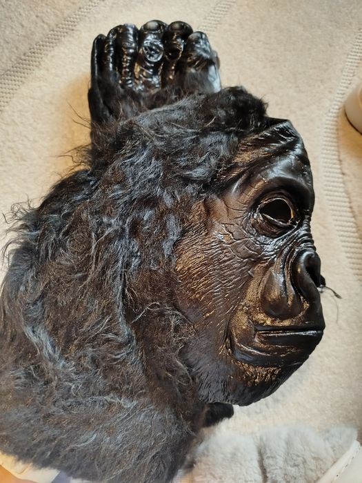 Ново Костюм на горила