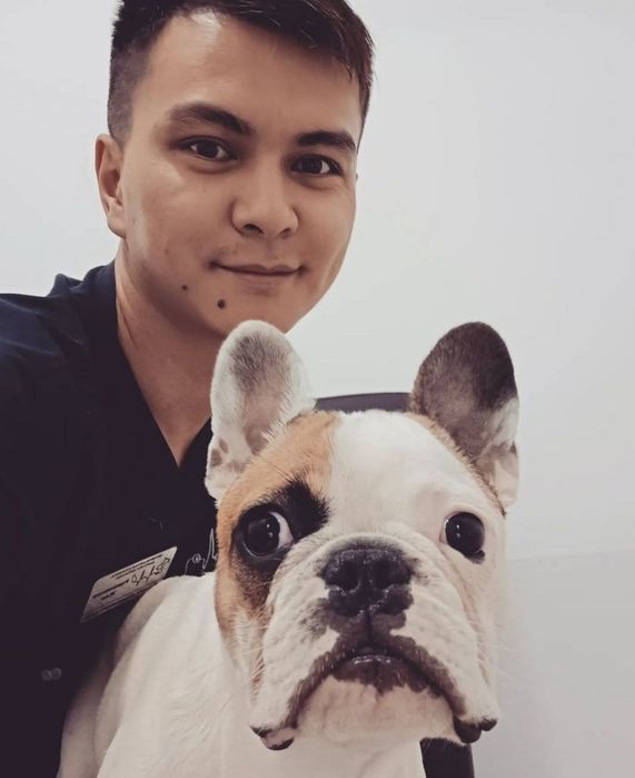 Ветеринар на выезд