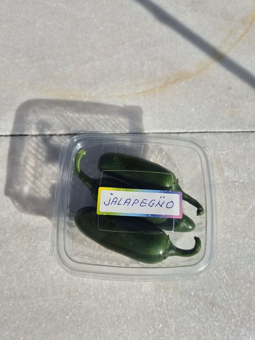 Ardei iute JALAPEGN̈O, Proaspăt, preț avantajos