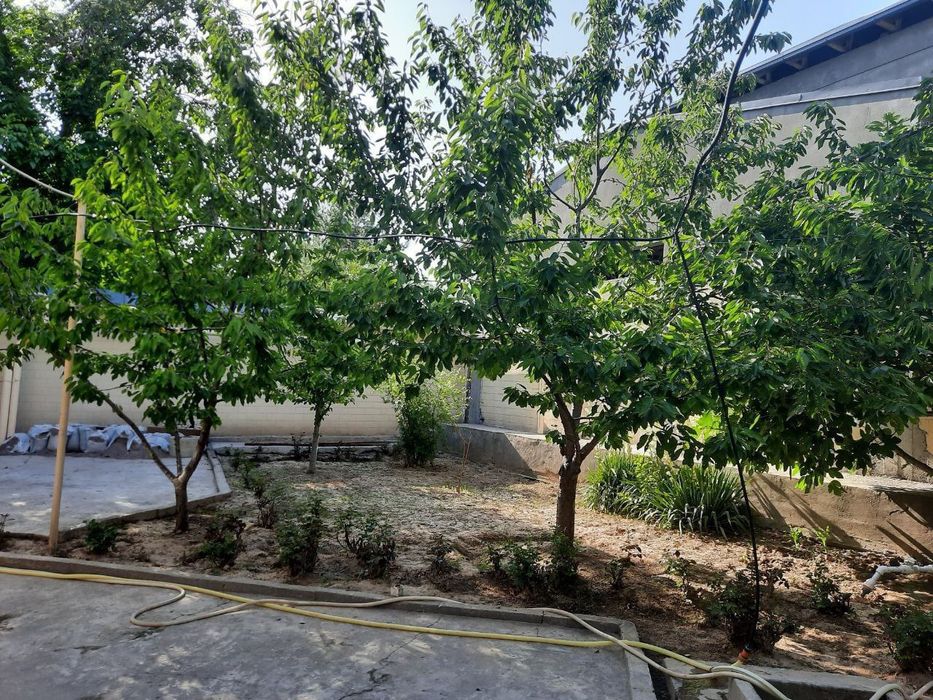 Dombirobod 7.22-sotok Uglavoy uchastka sotiladi