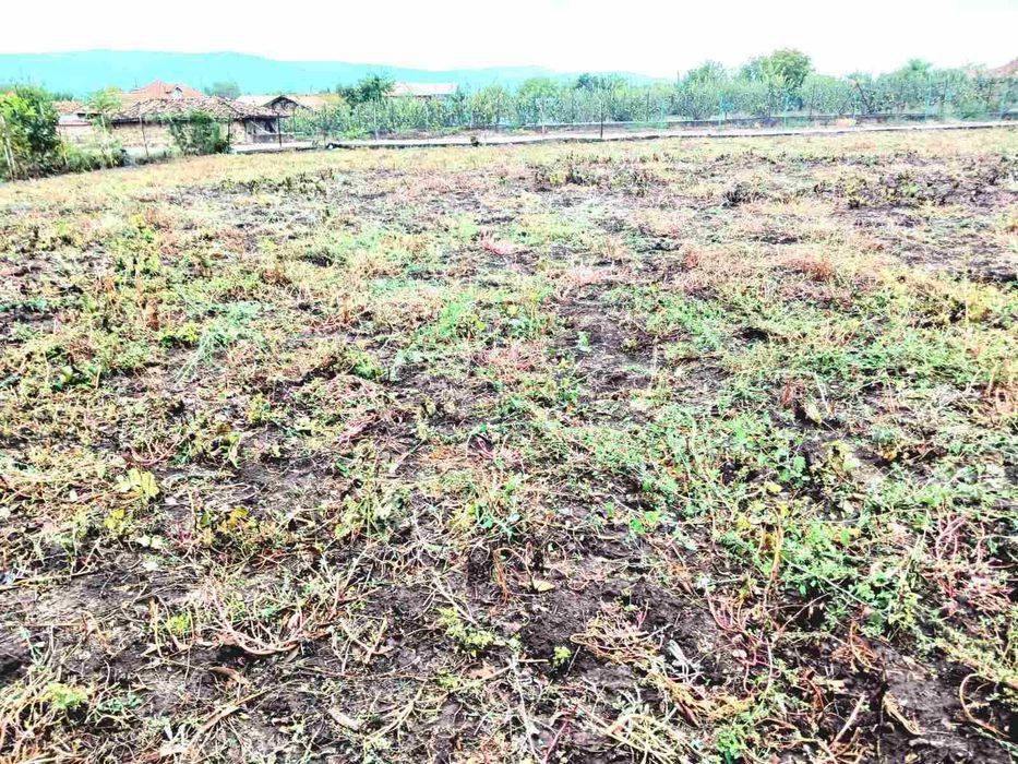 Продава се Парцел в с. Куцина, Област Велико Търново - 1000 кв.м за 10 €/кв.м - Снимка #1