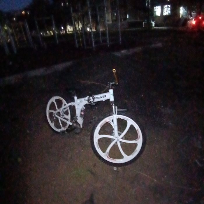 Великсипед бушный