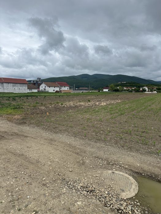 Vand teren intravilan in Sard