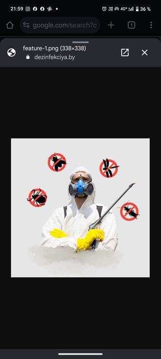 Дизинфекция Дизинсекция Дератизация