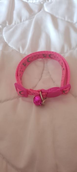 Шлейка поводок для кошек