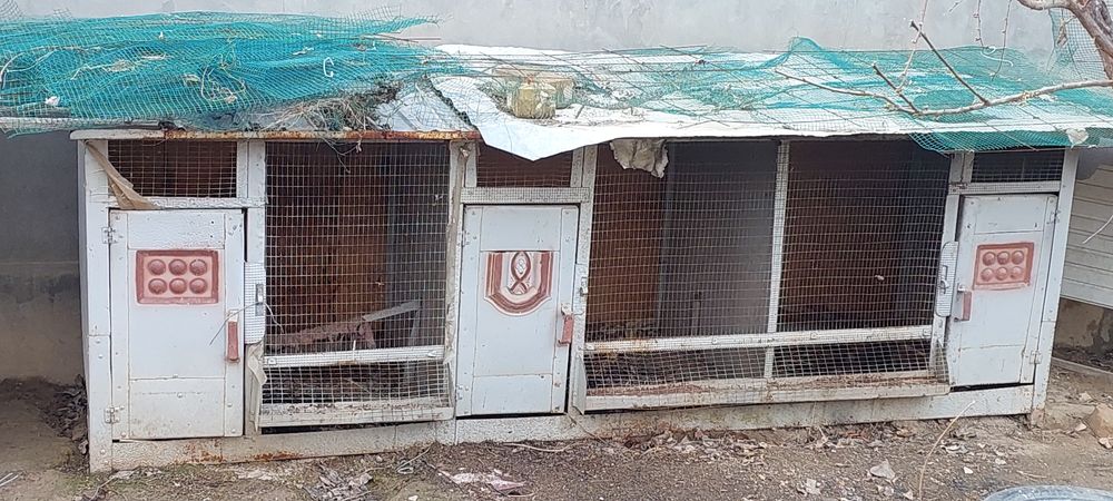 Товук катак сотилади/Продаётся домик для кур