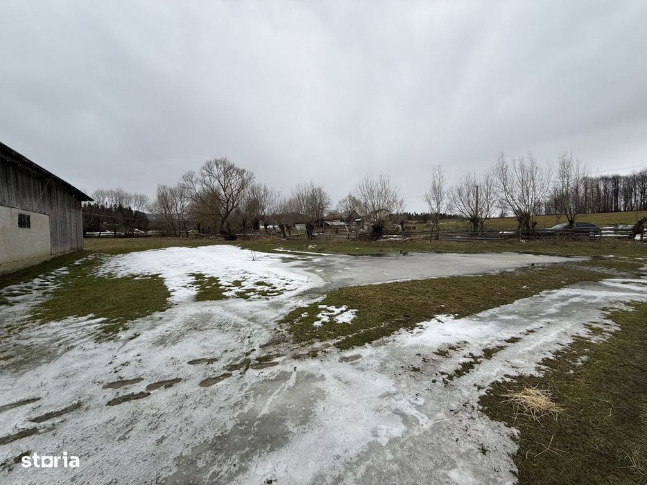 Teren extravilan | Horodnic De Sus | 3600MP