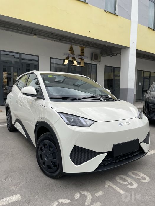 Byd seagull 2026